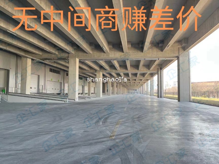 优质高标库,特惠价格,空地大