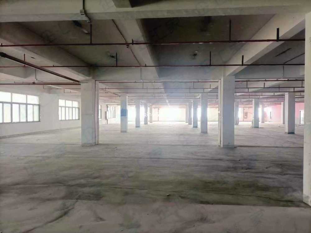 可分租,丙二消防,独院场地大