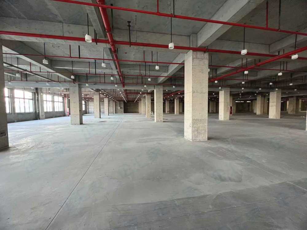 独门独院,可注册环评 ,丙类消防,税收优惠