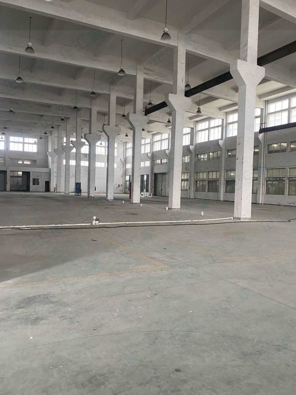 房东直租