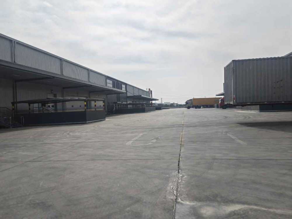 独门独院,双边库外置平台,带办公室