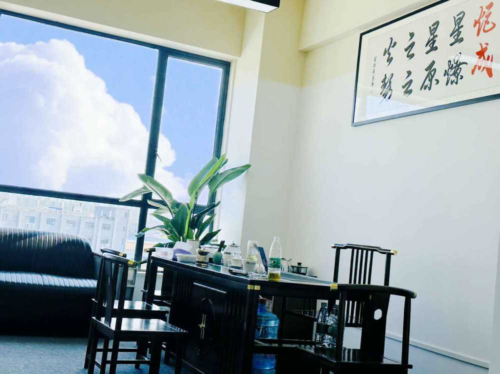 全新装修,精装带家具出租
