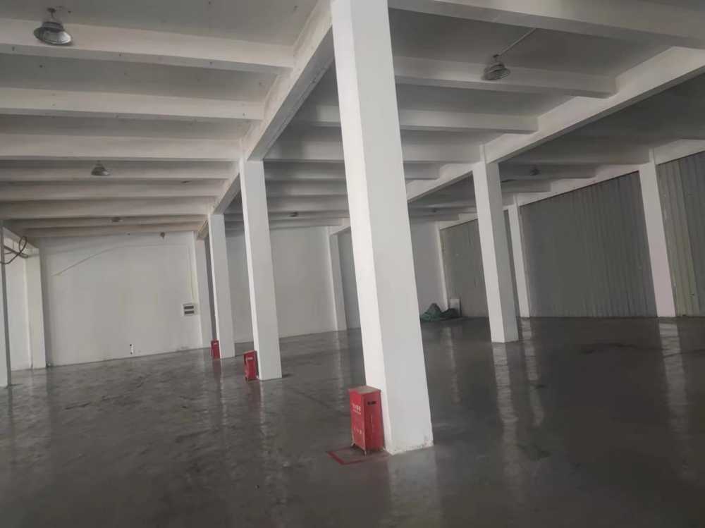 高度6米