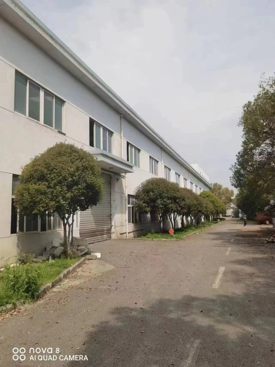 层高11米,独门独院