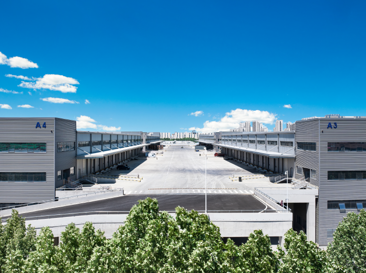 双层坡道库