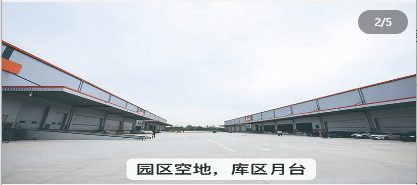 净高10.8米