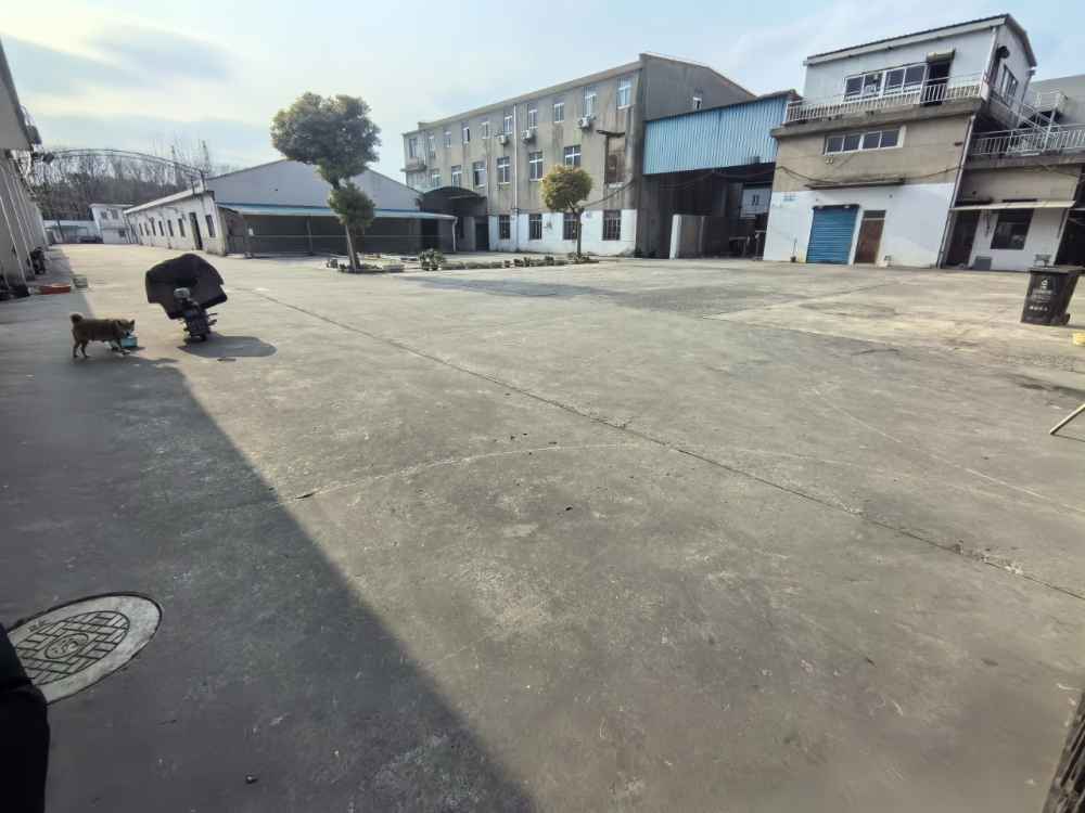 独门独院,交通便捷