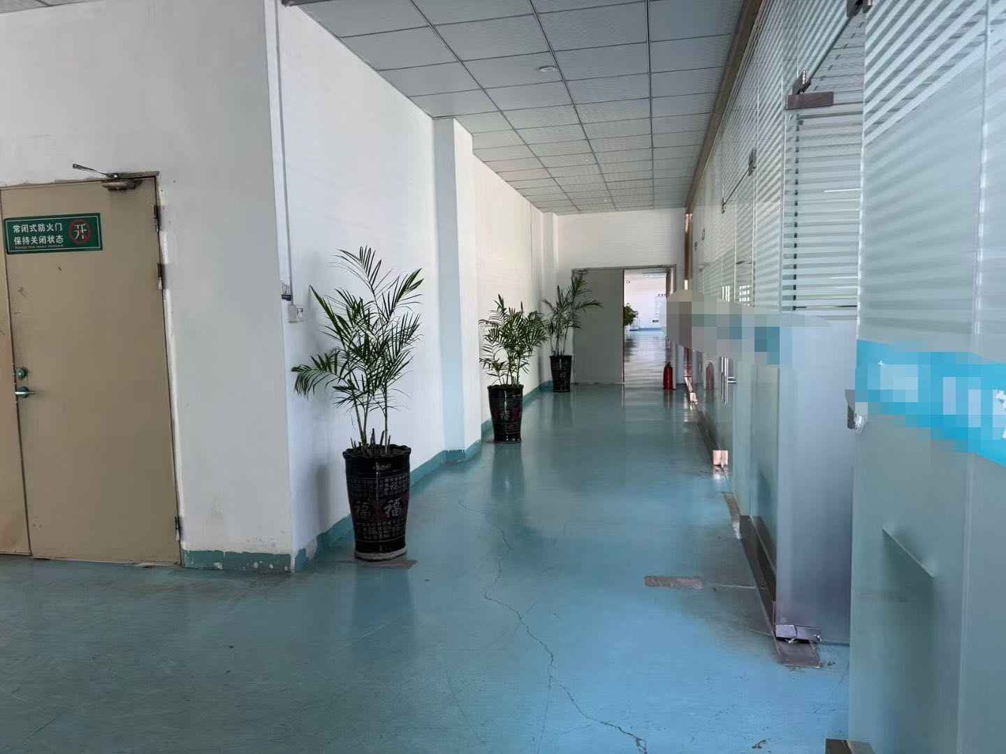 半年付,可分租,可整租