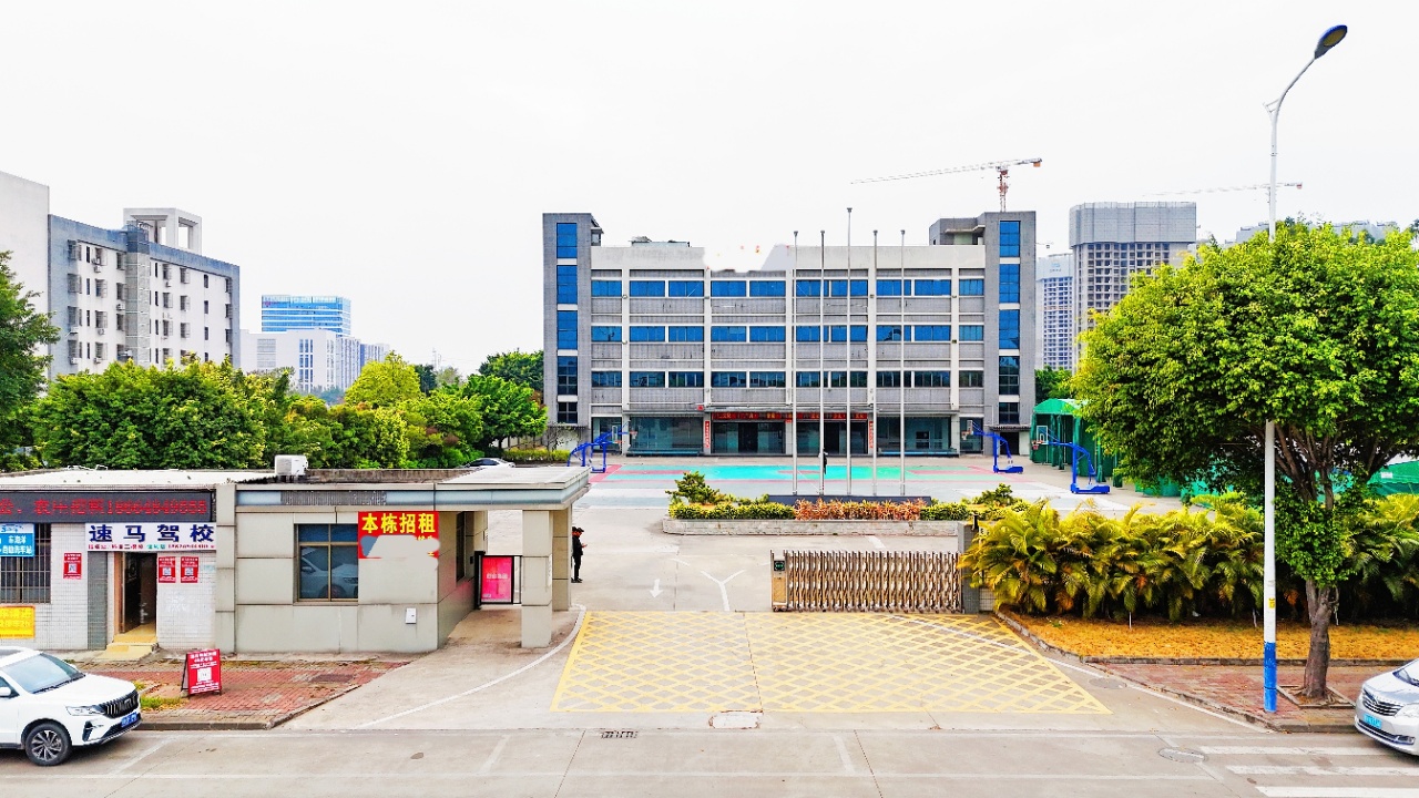 空地大